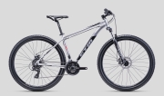 CTM REIN   2.0   29" - M (18), 29 stříbrná / černá, 2022
